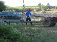 DSCN9493.JPG