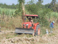 DSCN9462.JPG