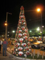 Brasil-Fortaleza ''Kerstboom''.JPG