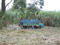 DSCN9472.JPG