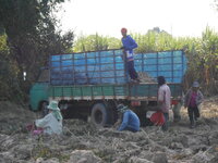 DSCN9488.JPG
