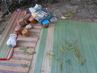 DSCN9484.JPG