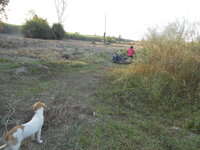 DSCN9500.JPG