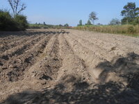 DSCN9040.JPG