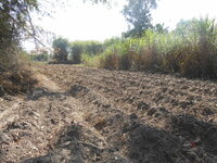 DSCN9038.JPG