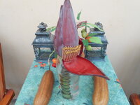 DSCN9511.JPG
