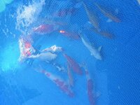 IMG_20171218_200333.jpg