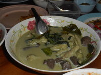 DSCN9587.JPG