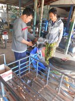 IMG_20171219_141720.jpg