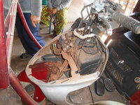 DSCN9599.JPG