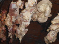 DSCN9674.JPG
