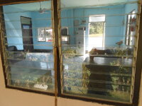 DSCN9723.JPG