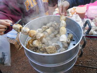 DSCN9648.JPG