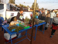 DSCN9643.JPG