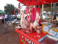 DSCN9665.JPG