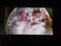 DSCN9557.JPG