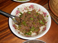DSCN9570.JPG