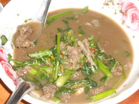 DSCN9576.JPG