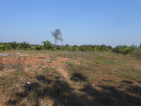 DSCN9766.JPG