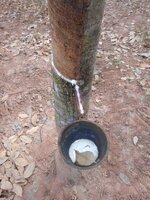 IMG_20171225_215112.jpg