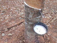 DSCN9789.JPG