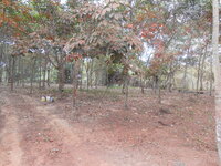 DSCN9787.JPG