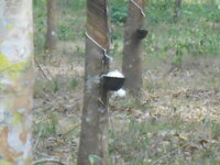 DSCN9798.JPG