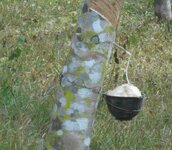 IMG_20200826_131503.jpg