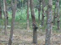 DSCN9797.JPG