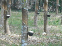 DSCN9796.JPG