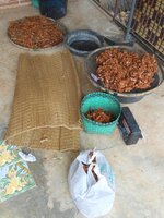 IMG_20171225_215224.jpg