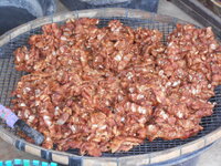 DSCN9813.JPG