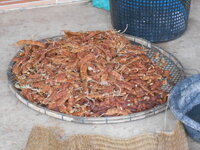 DSCN9812.JPG