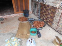 DSCN9811.JPG