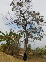 IMG_20171225_215243.jpg