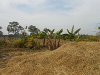 DSCN9817.JPG