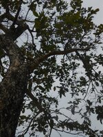 IMG_20171225_215415.jpg