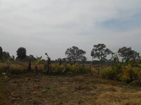 DSCN9818.JPG