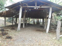 DSCN9801.JPG