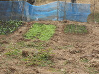 DSCN9832.JPG