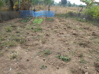DSCN9830.JPG