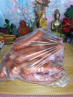 IMG_20230908_133047_095.jpg