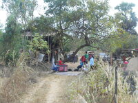 DSCN9860.JPG