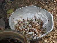 DSCN9869.JPG
