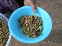DSCN9914.JPG