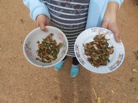DSCN9912.JPG