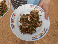 DSCN9913.JPG