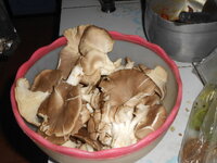 DSCN9712.JPG
