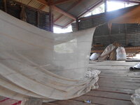 DSCN9888.JPG