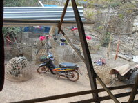 DSCN9892.JPG
